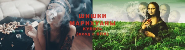 гашик Нефтегорск