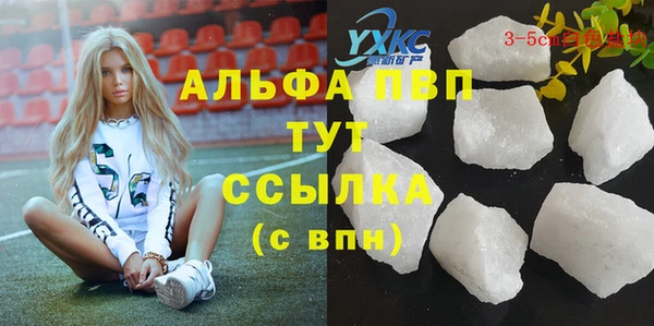 гашик Нефтегорск