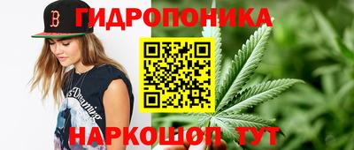 индика Волжск