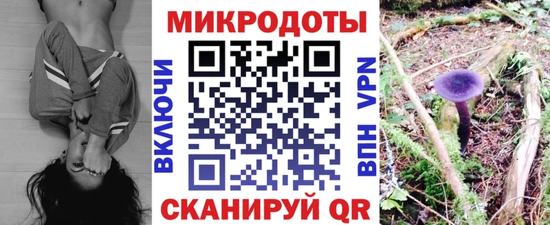 Галлюциногенные грибы Cubensis  Иркутск 