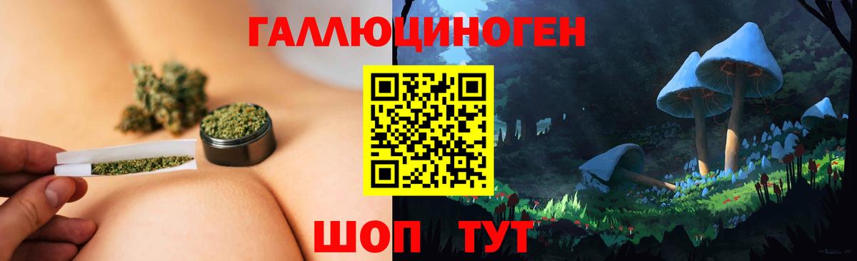 Псилоцибиновые грибы GOLDEN TEACHER  Иркутск 