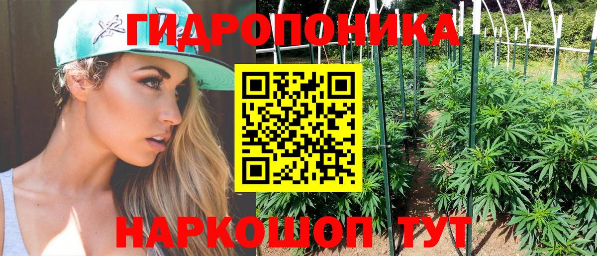 Каннабис MAZAR  МАРИХУАНА планчик  Конопля SATIVA & INDICA  Вход с VPN  Иркутск 